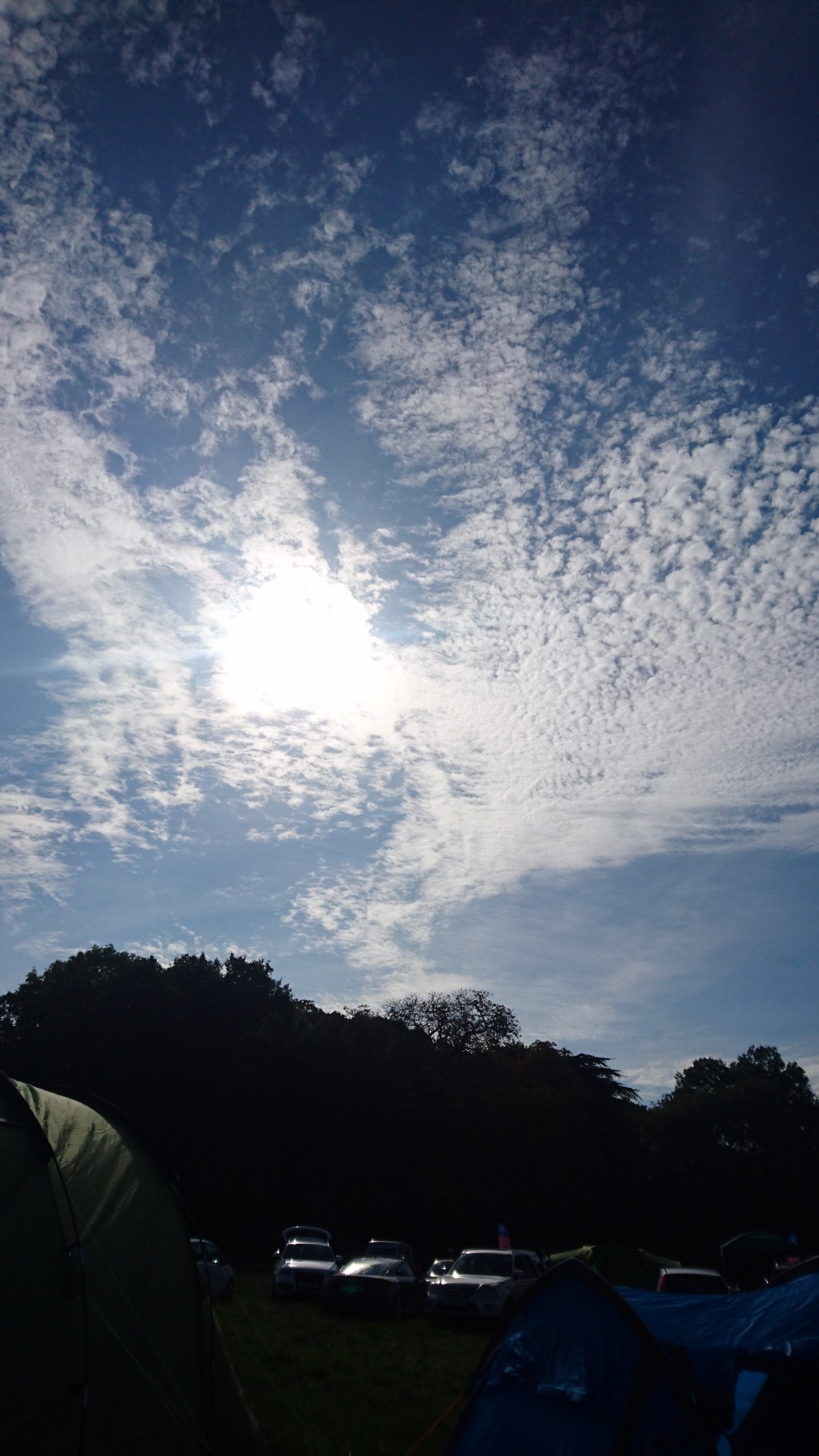 Fun time camping with&nbsp;friends