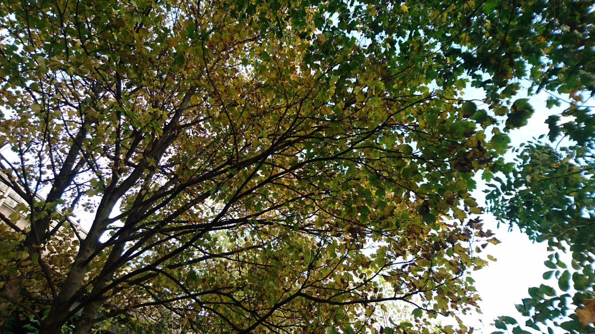 Small things. Baby&nbsp;steps.