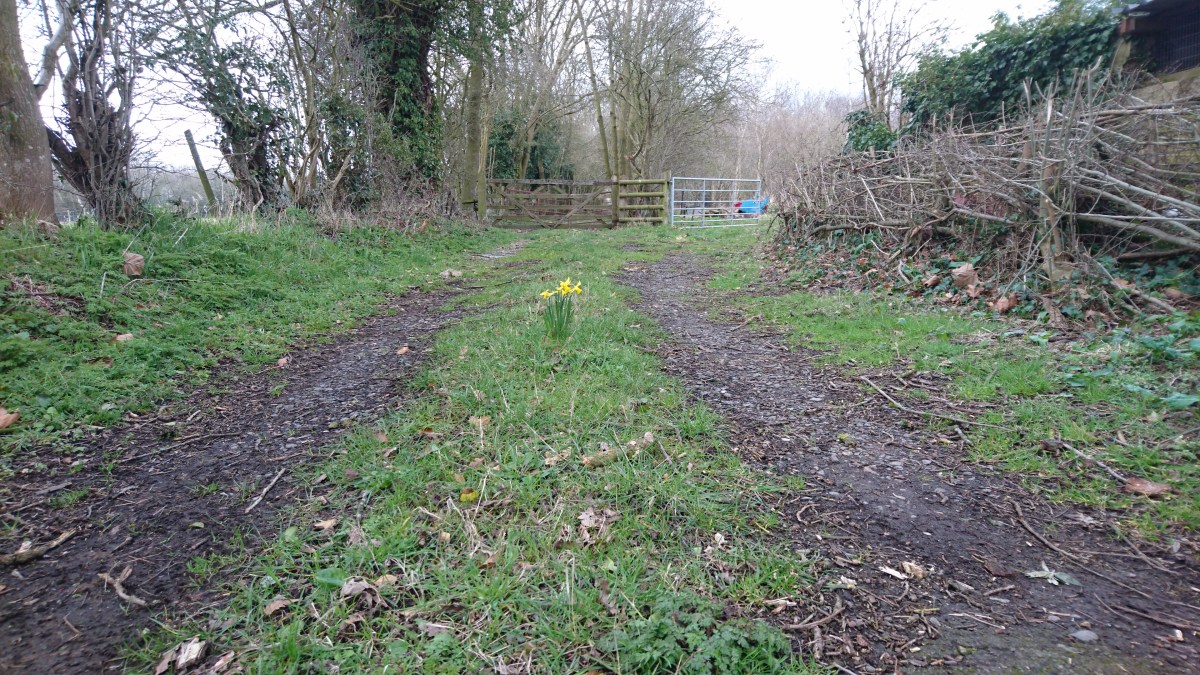 Progress – part&nbsp;2