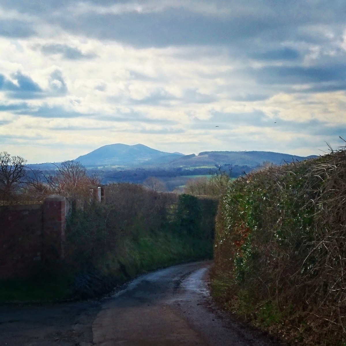 Reconsideration. Reconciliation.