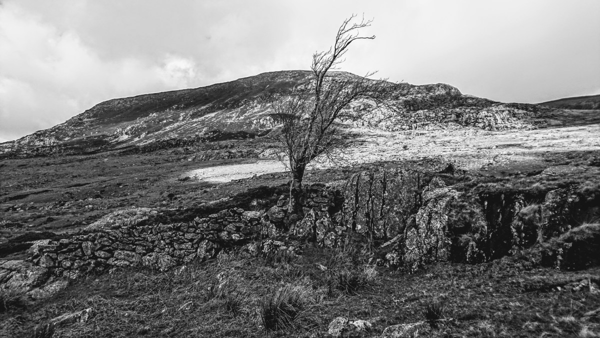 The freedom of the mountains (after careful&nbsp;planning)