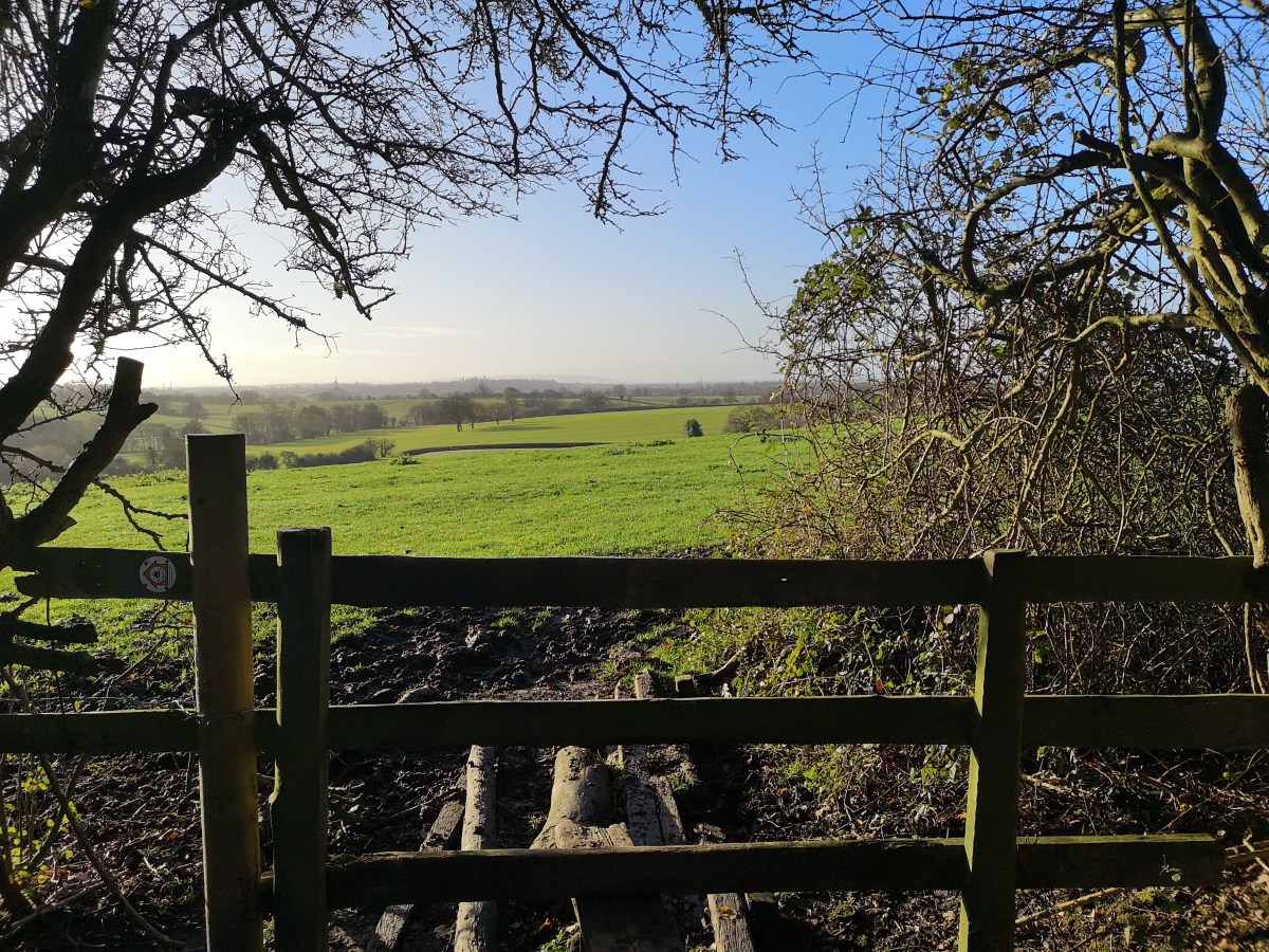 Getting ecotherapeutic