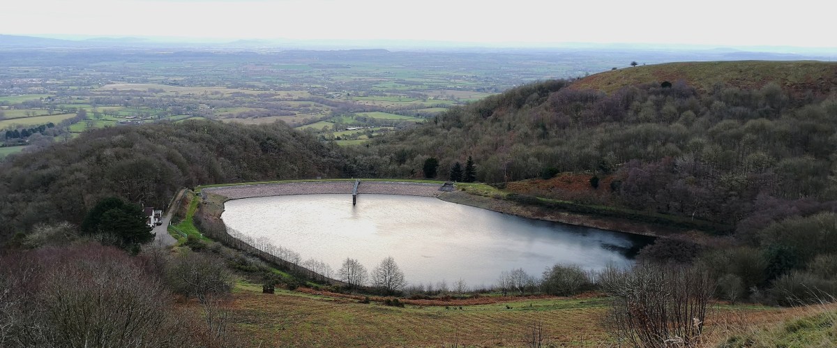 Teaching an old dog new&nbsp;tricks