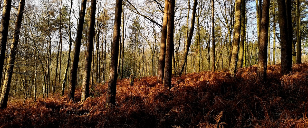 Spring is (not)&nbsp;here?