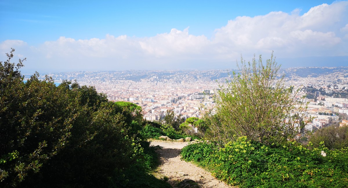 Je ne suis pas Jenson&nbsp;Button