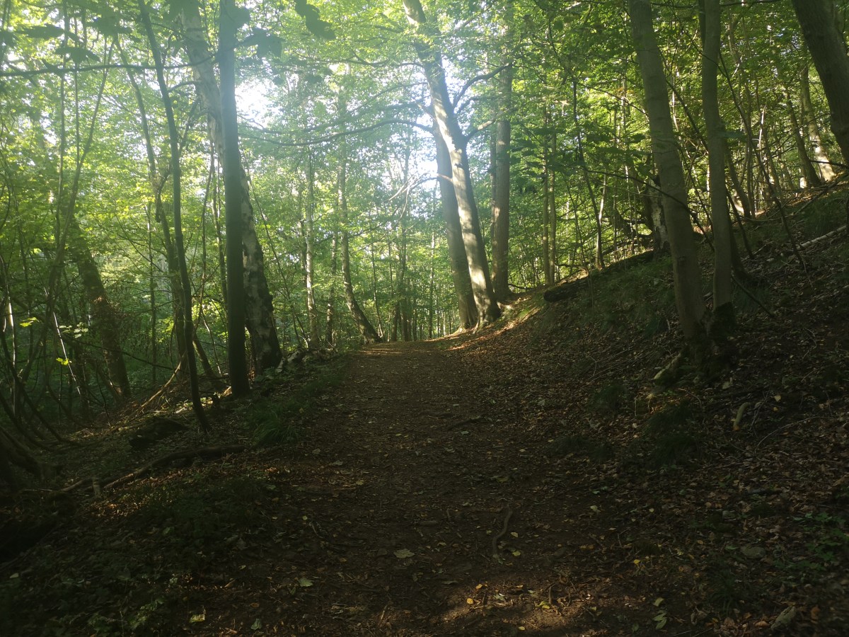 To insanity, and&nbsp;beyond!