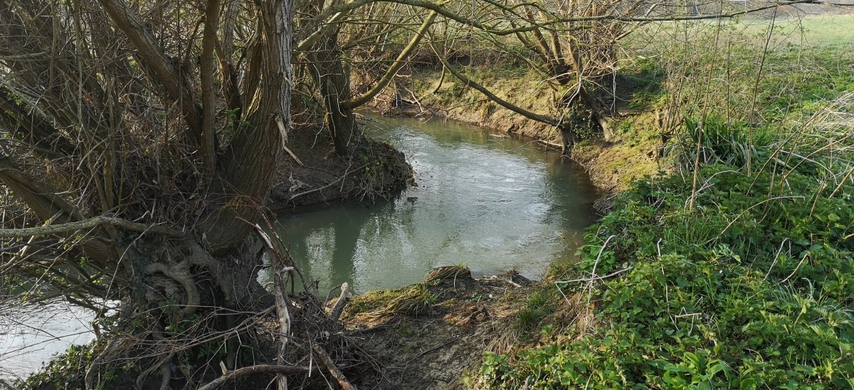 The COVID-19 Effort.