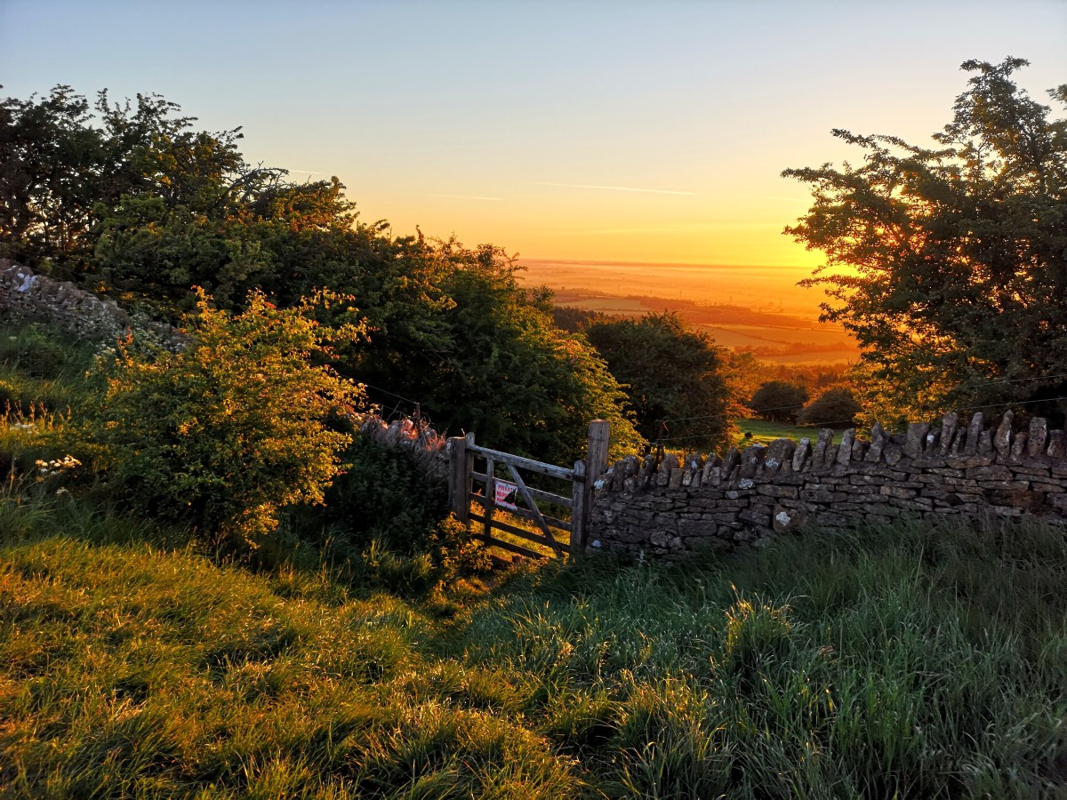 The bit between two&nbsp;normals