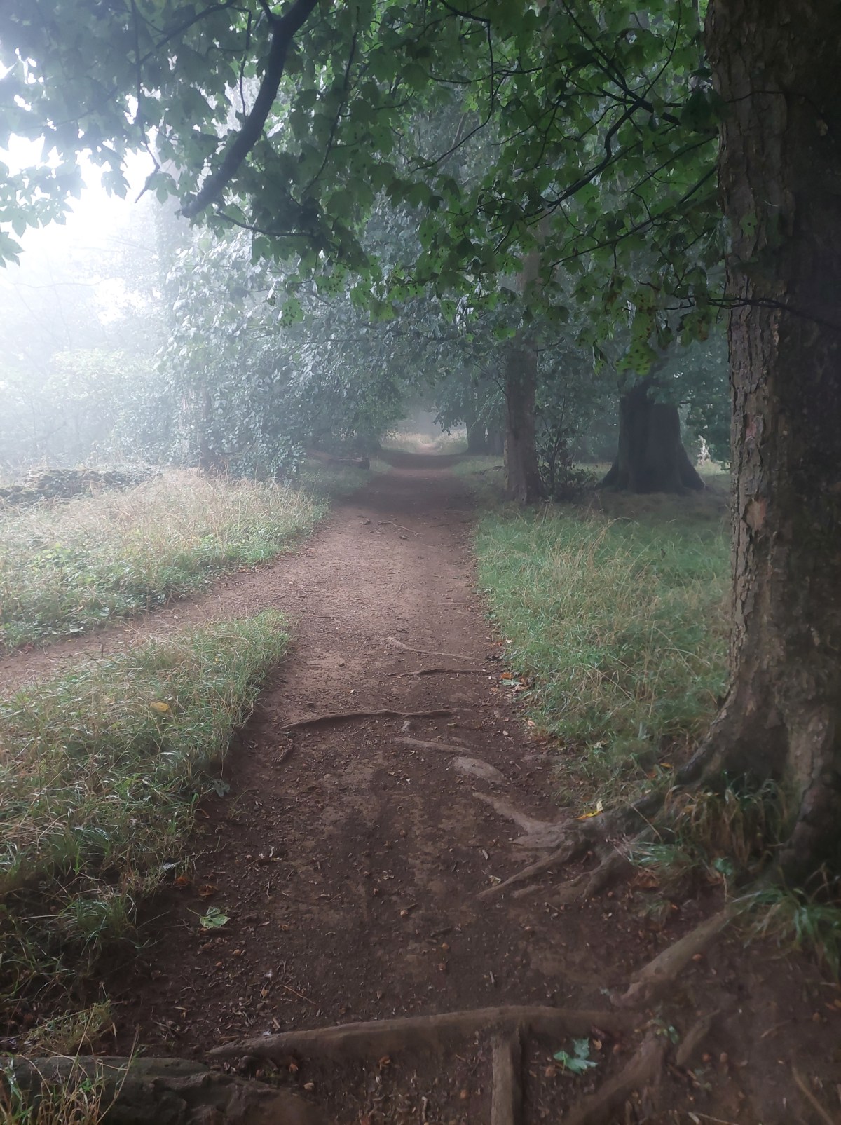 Get the tea towel. We’re going on an&nbsp;adventure.