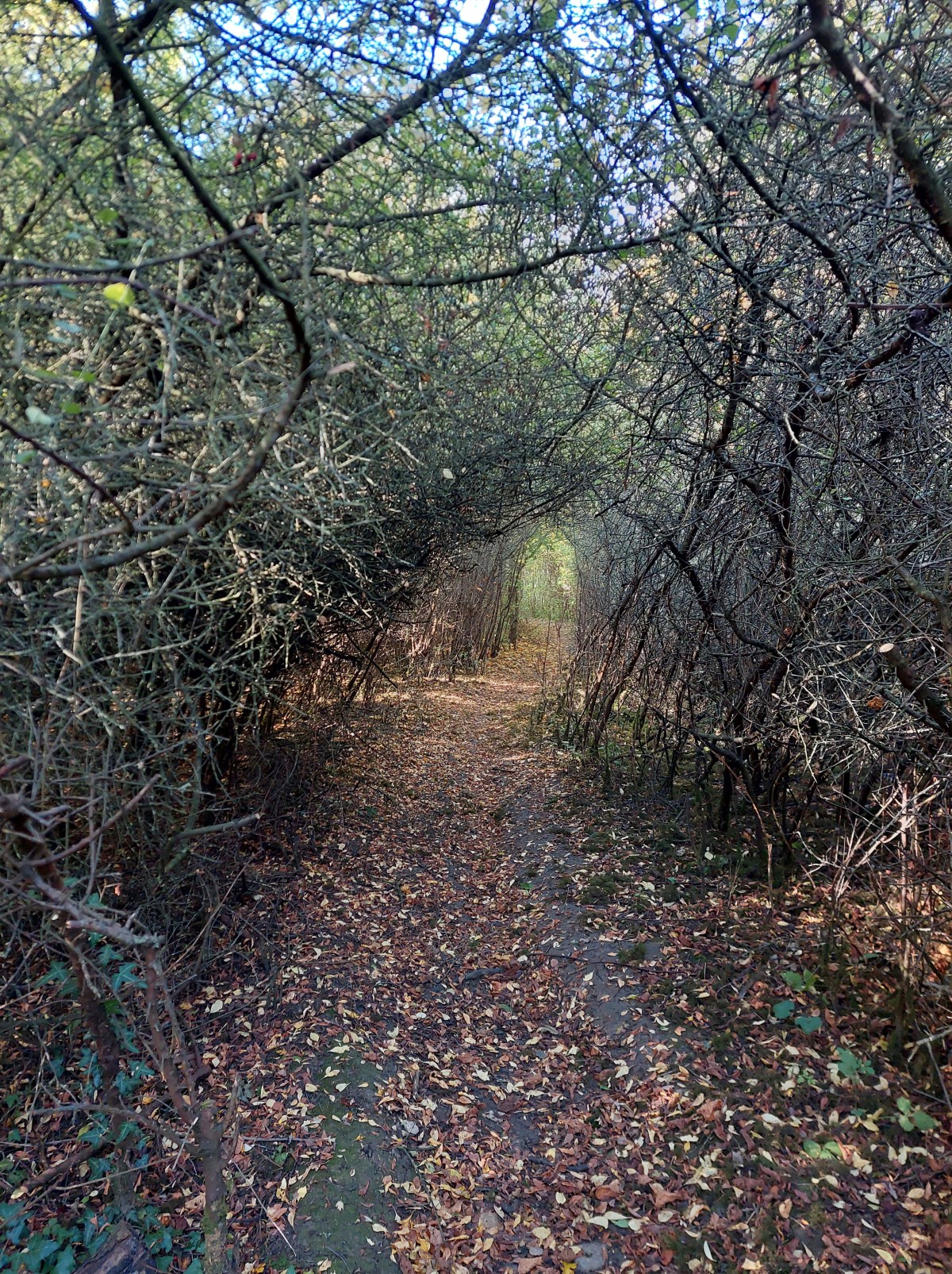 I’ve started, so I’ll&nbsp;finish.