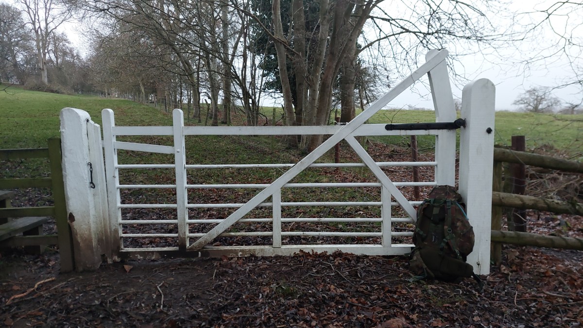 The Calamityville Horror