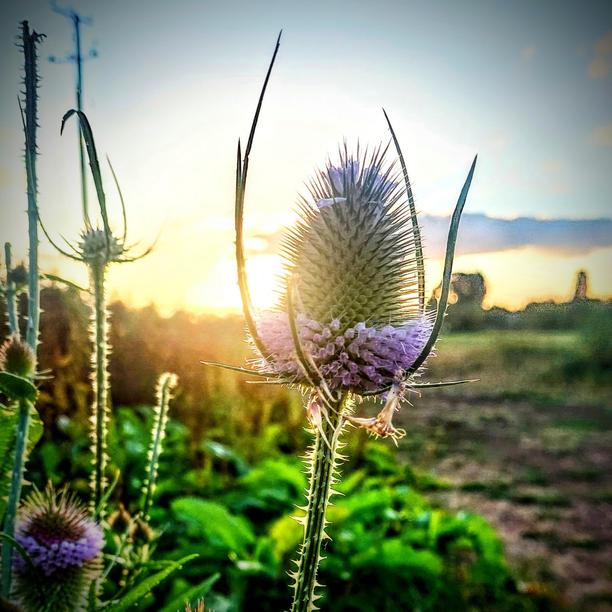 Senses working overtime.