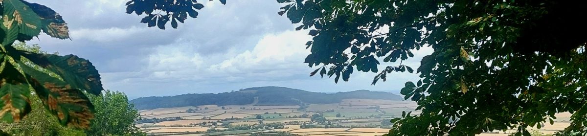My Outdoor Living Room